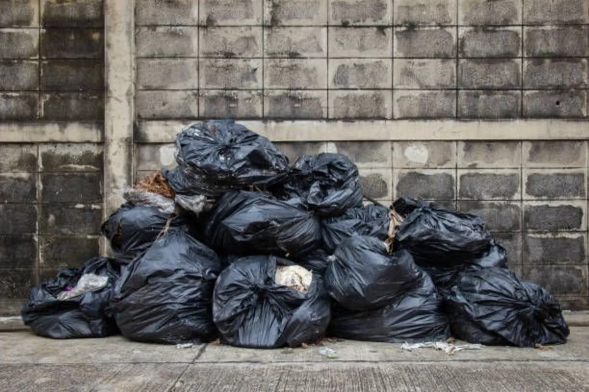 Rubbish removal - Image 3