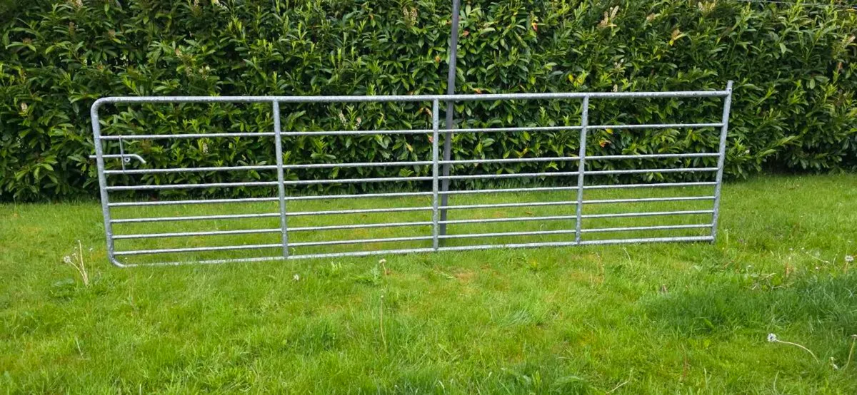 15ft Gate & 8ft Strainer - Image 1