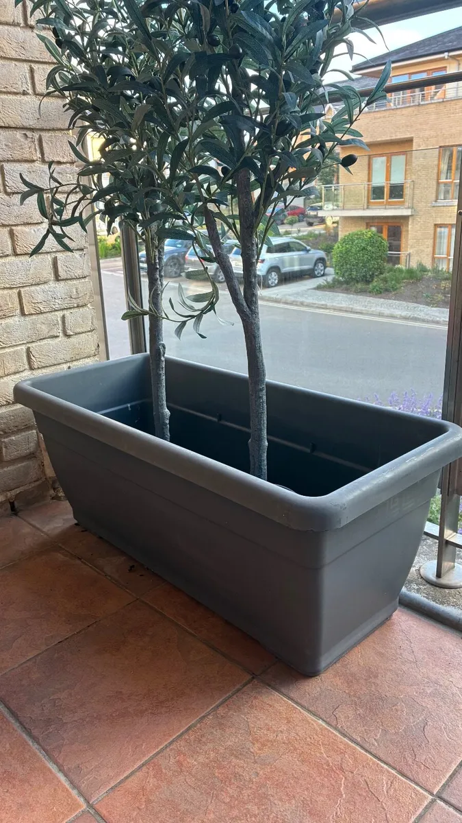 Contemporary Plantar pots - Image 2
