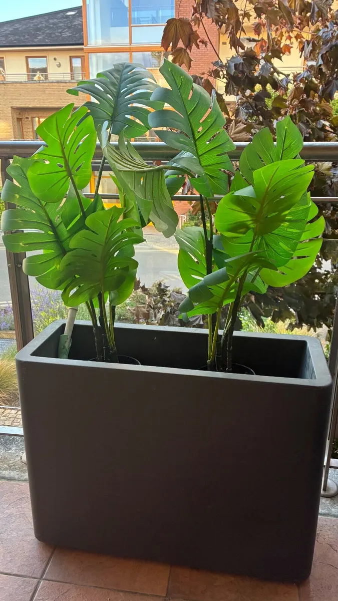 Contemporary Plantar pots - Image 1