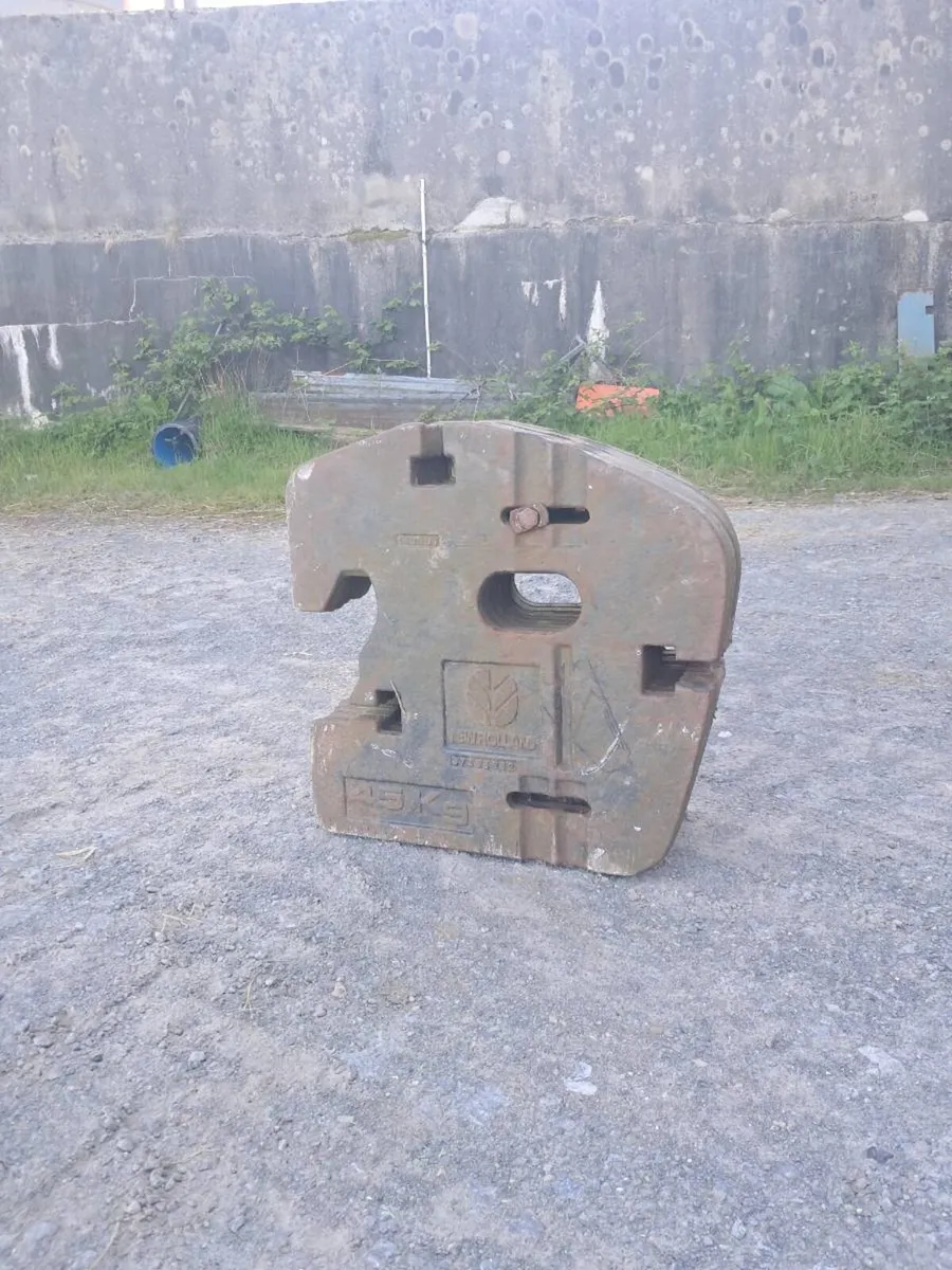 New Holland 45Kg Fan Weights No Vat - Image 1
