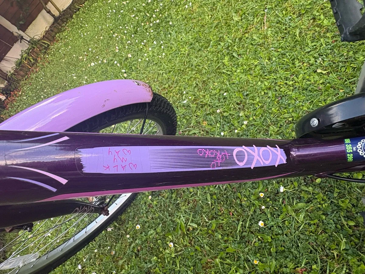 Girls Bike 24 Inches - Image 2