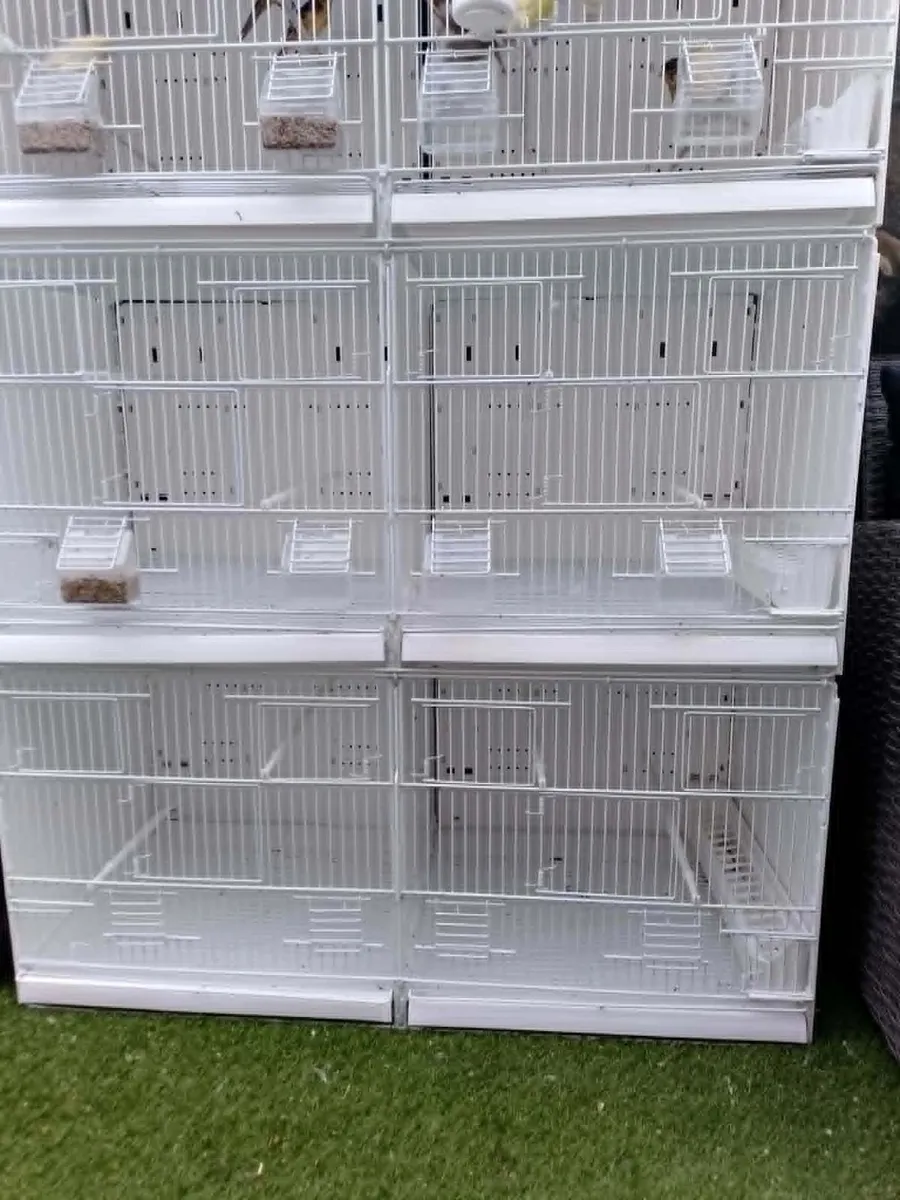 2GR Cortina 120 cm  cage,   by X2 - Image 1