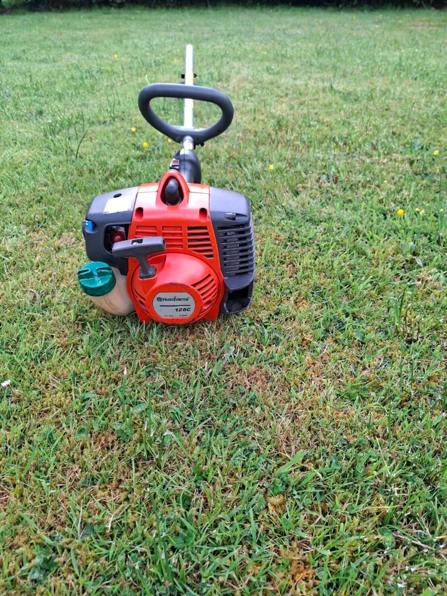 Strimmer - Image 1