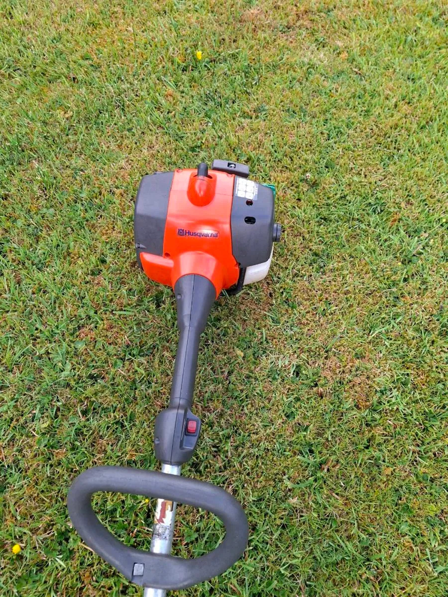 Strimmer - Image 3