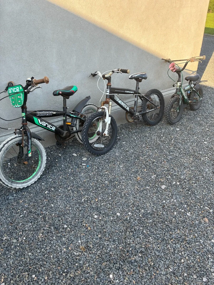 Bike for free - Image 1