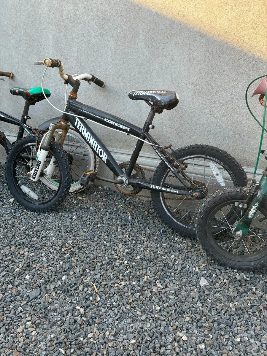 Bike for free - Image 3