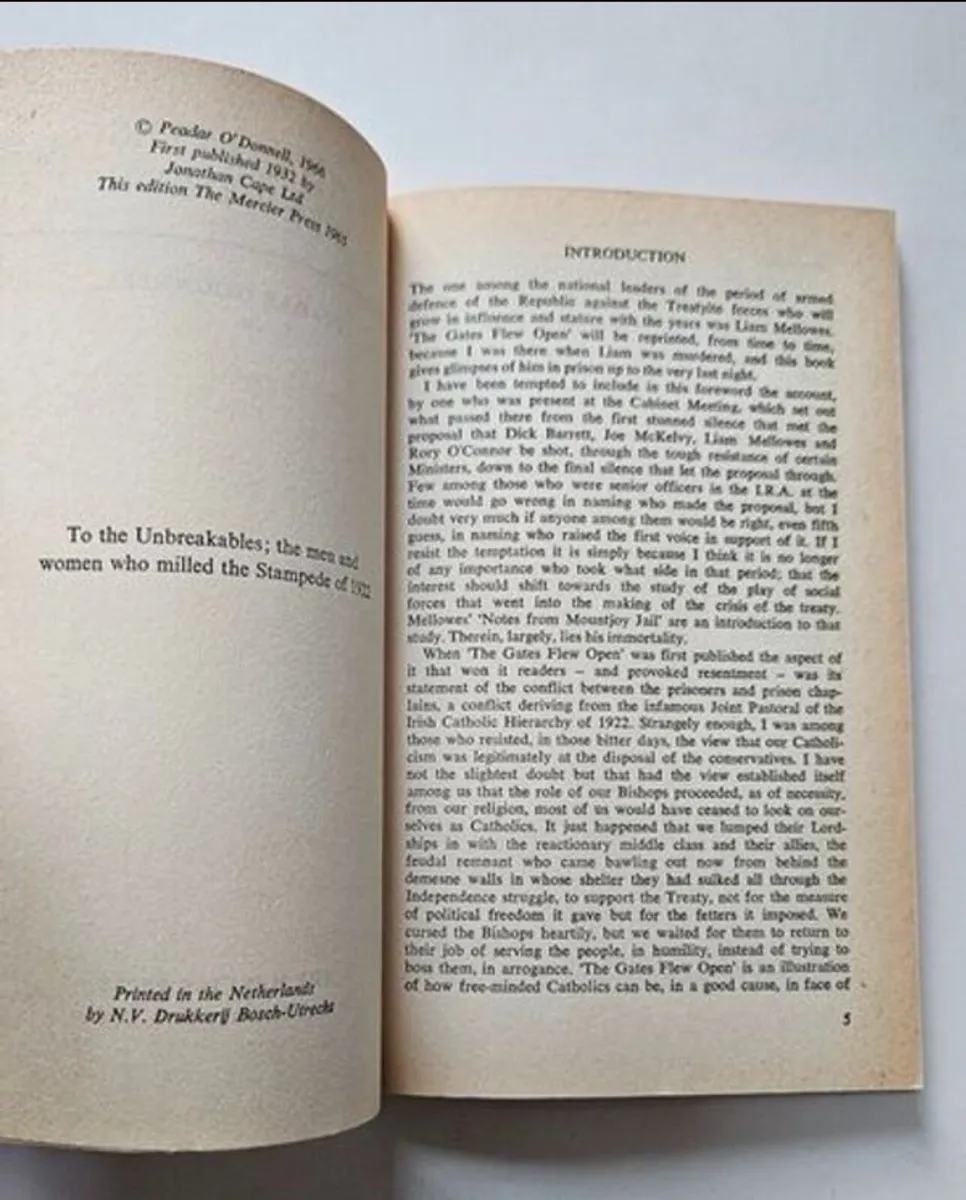 The Gates Flew Open - Irish Civil War History Book - Image 2