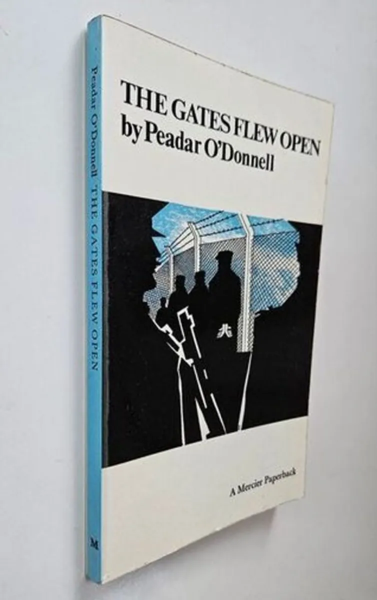The Gates Flew Open - Irish Civil War History Book - Image 3