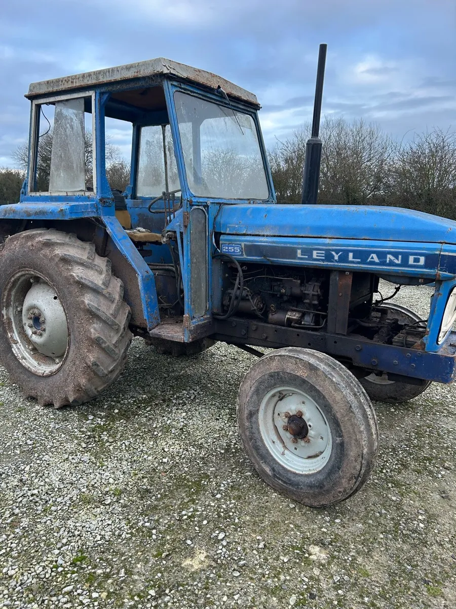 Leyland 255 - Image 1