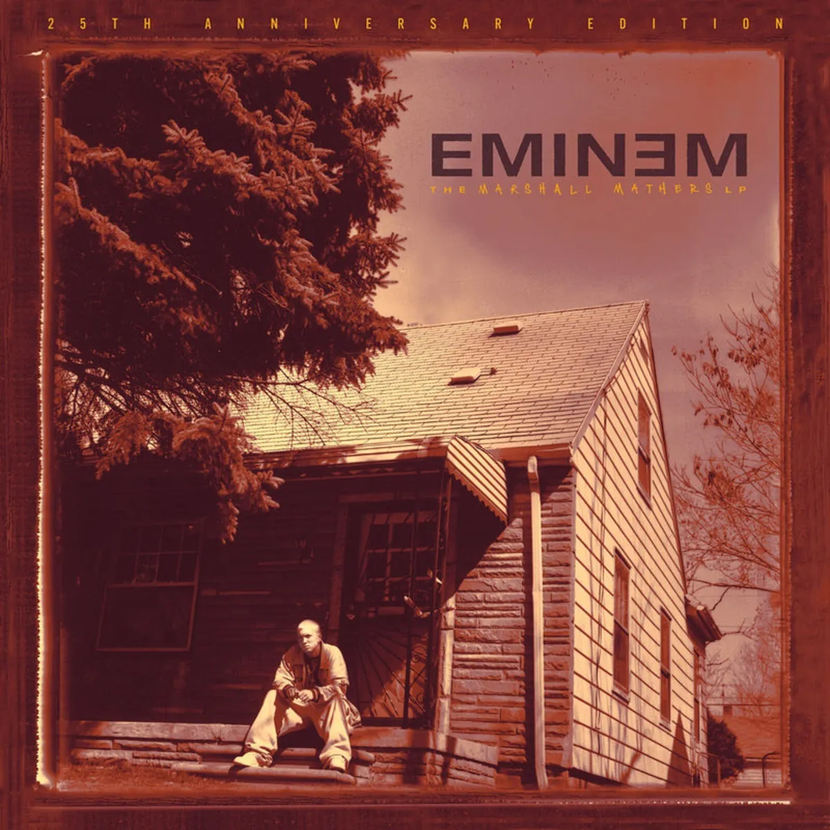 Eminem lp  new not used - Image 1