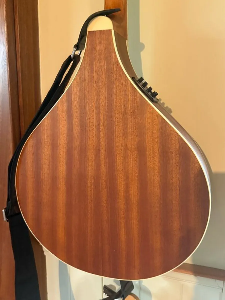 McNeela Premium Bouzouki - Image 4