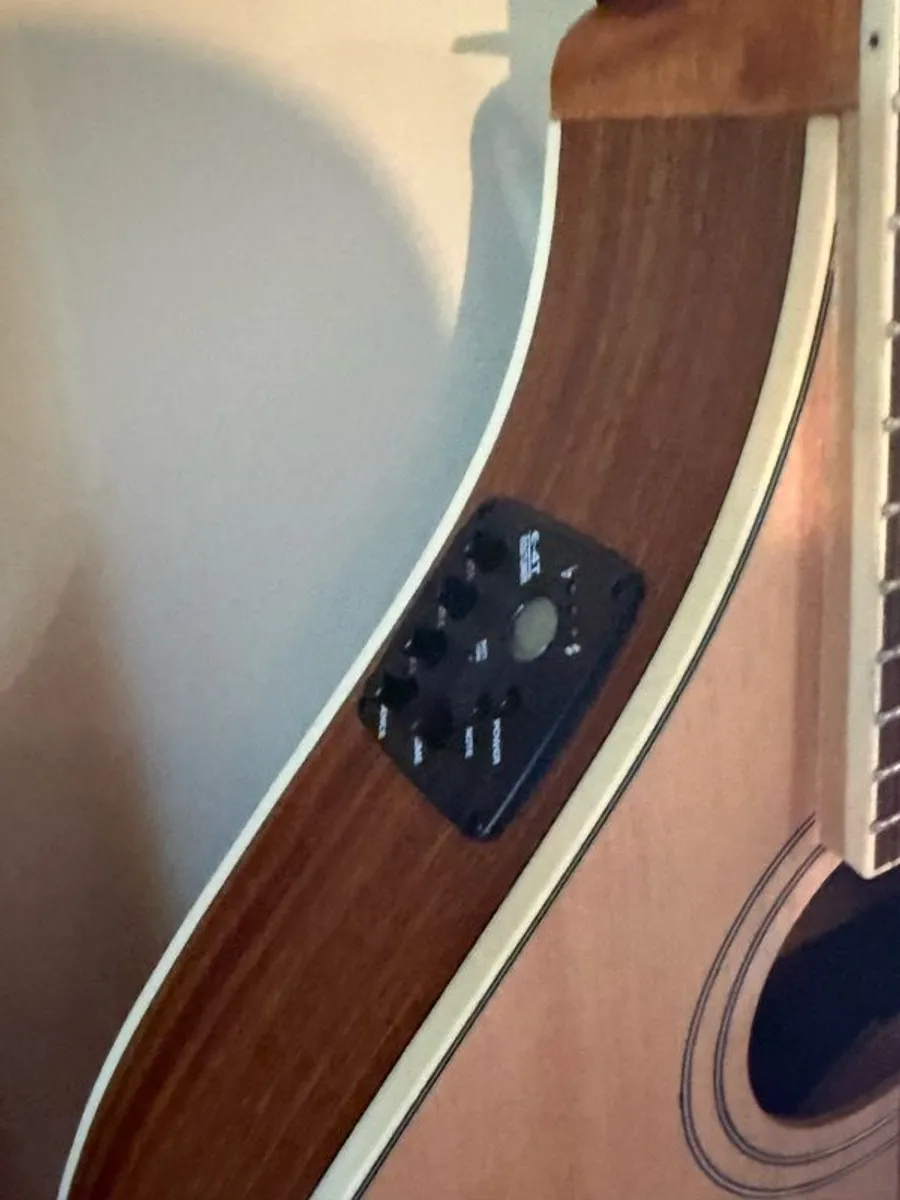 McNeela Premium Bouzouki - Image 2