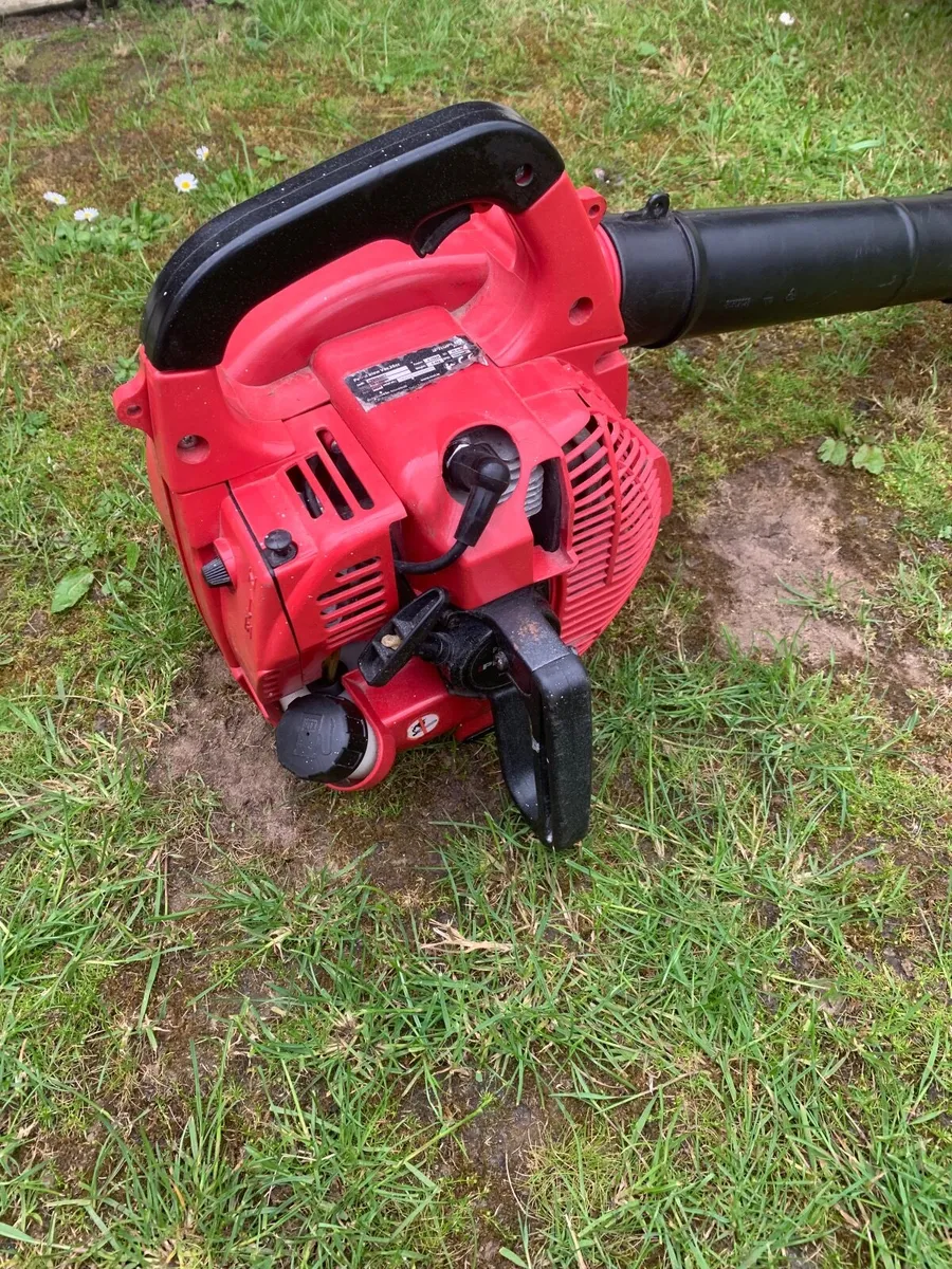 Blower - Image 1