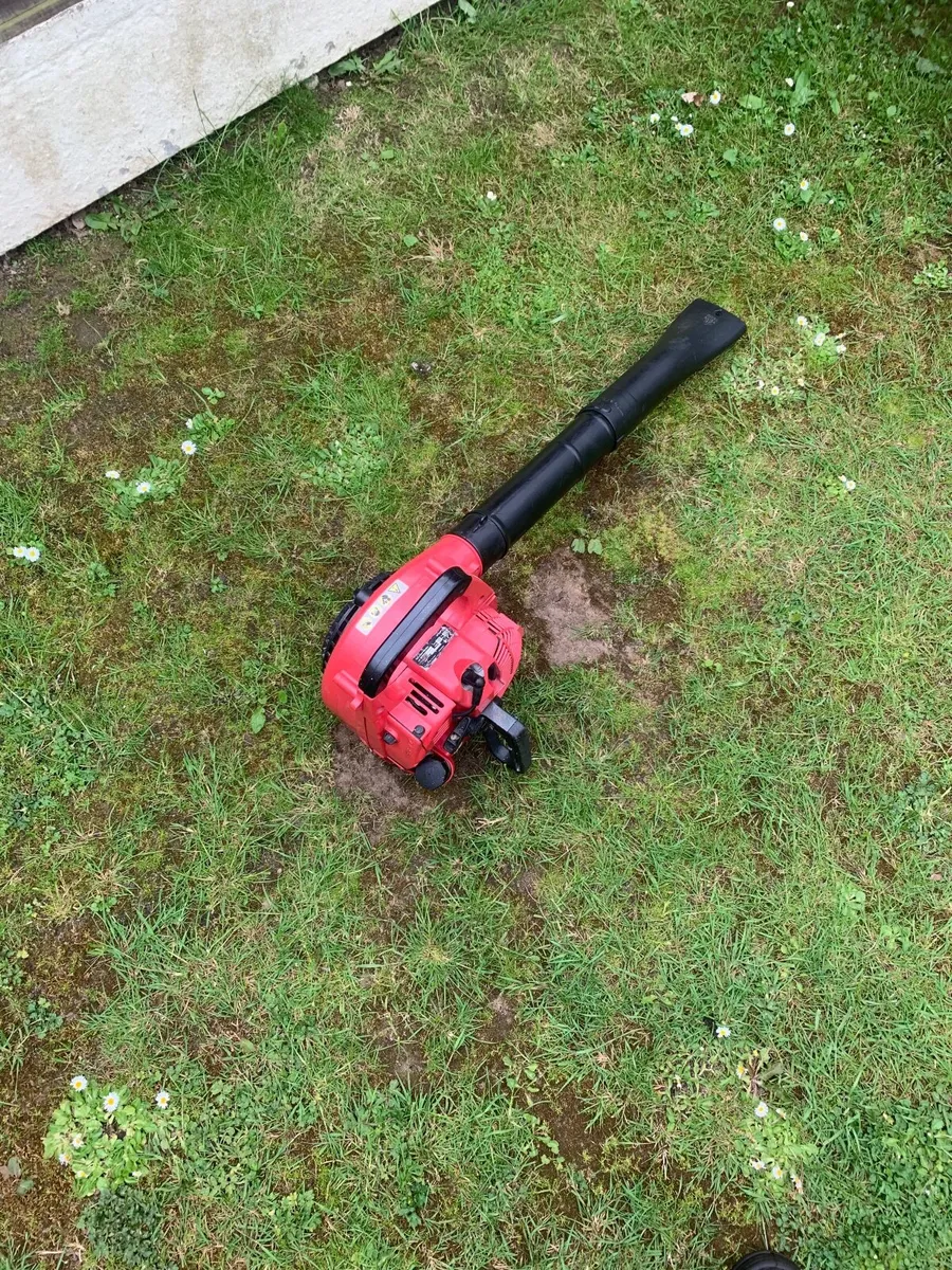 Blower - Image 2