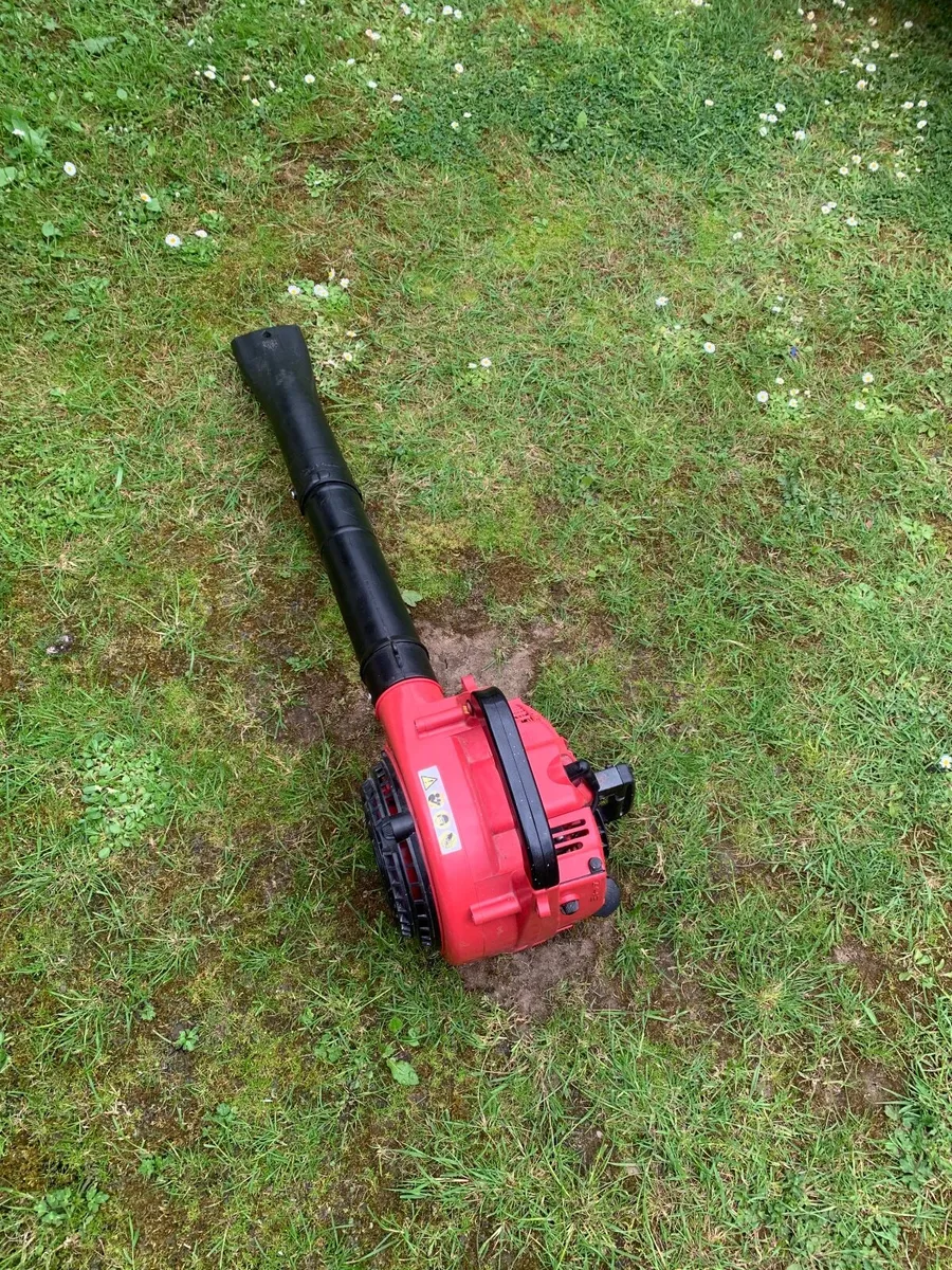 Blower - Image 3