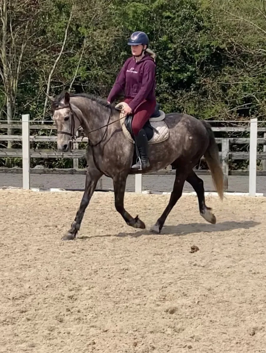 Mother/Daughter Share ,Allrounder - Image 1