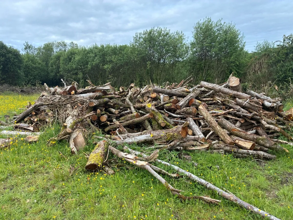 Fire wood for sale - Image 3