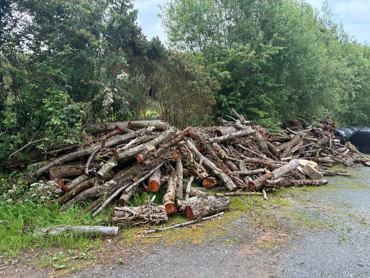 Fire wood for sale - Image 1