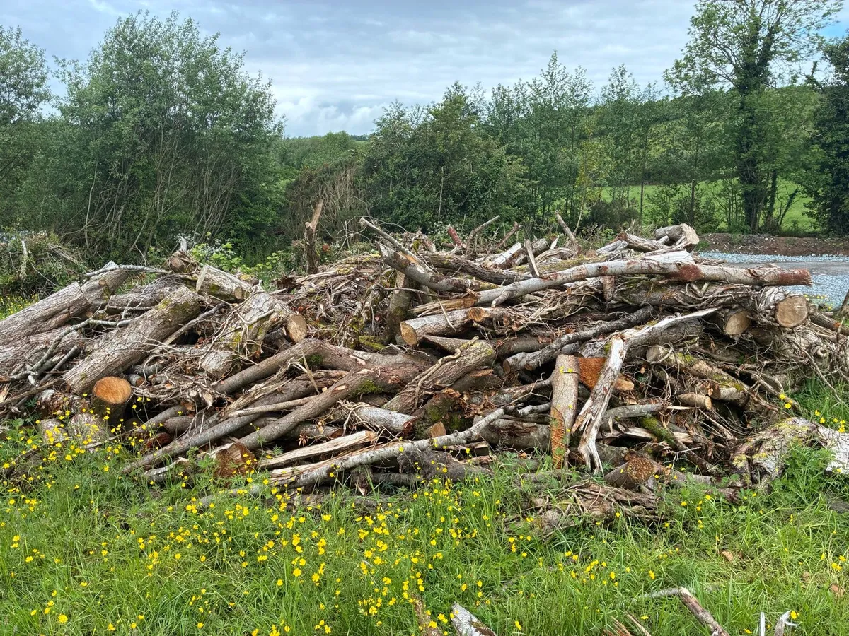 Fire wood for sale - Image 2