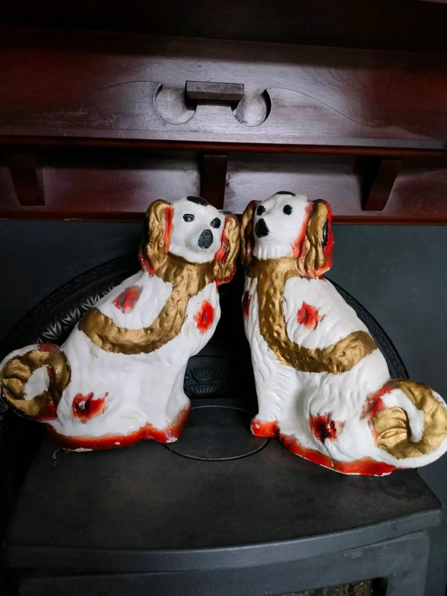 Spaniel Dogs - Image 2