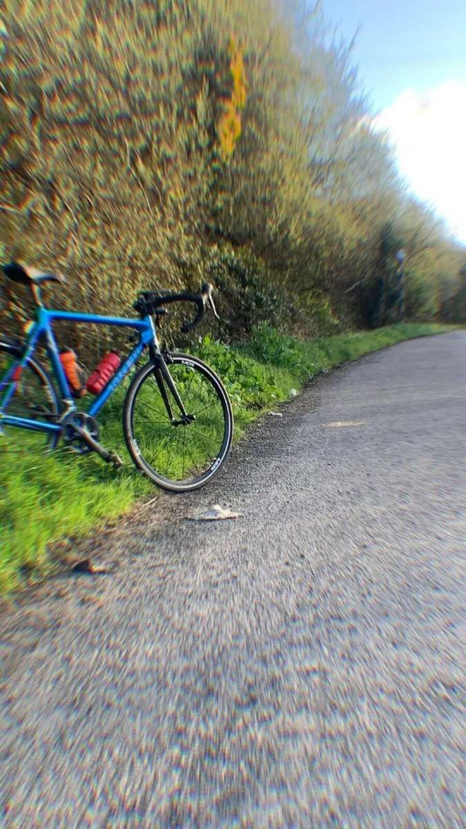 Bicycle - Image 1