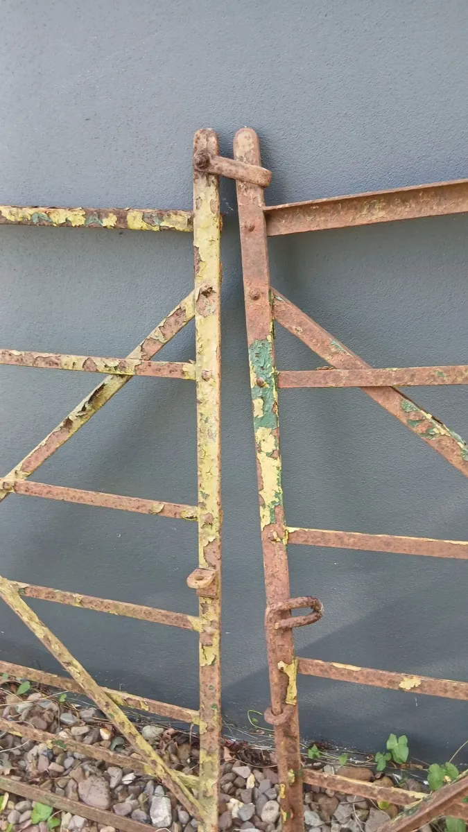 Wrought Iron gates - Image 2