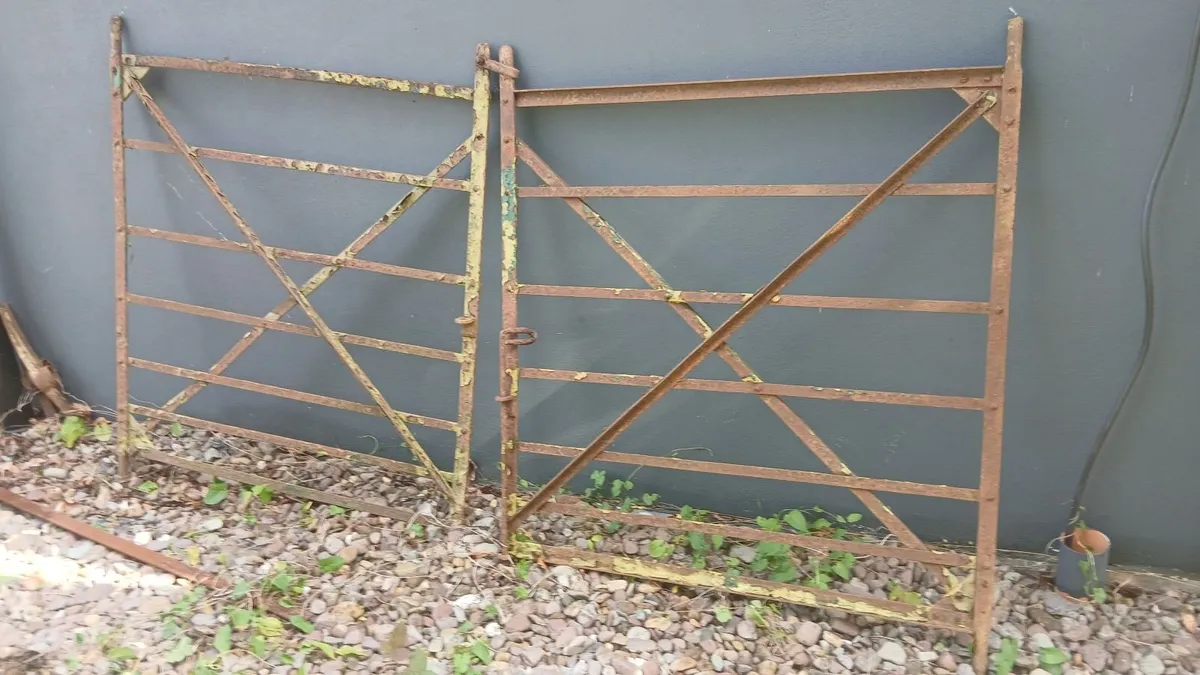 Wrought Iron gates - Image 1