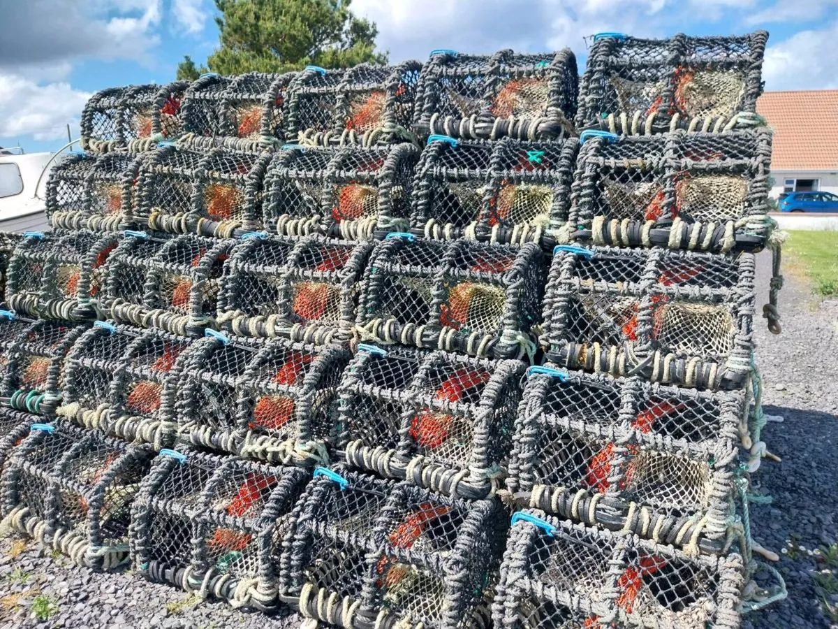 Crab lobster pots  €50 - Image 1