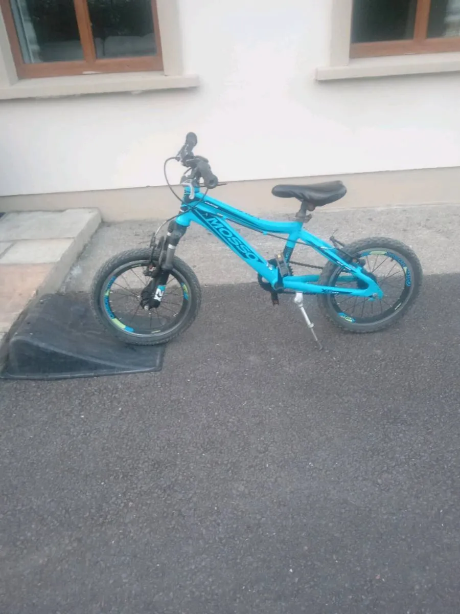 Kids Mini Mountain Bike - Image 1