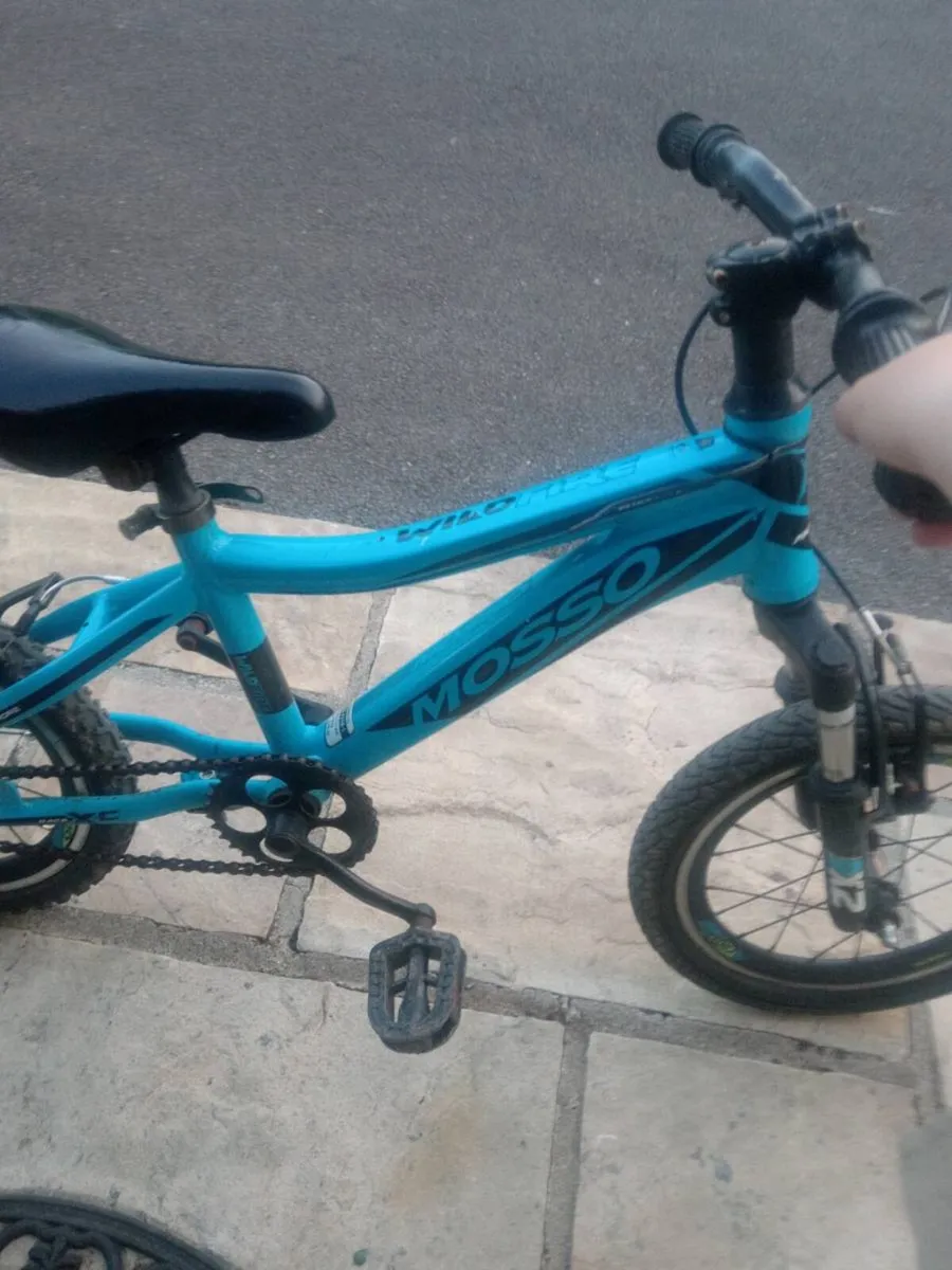Kids Mini Mountain Bike - Image 3