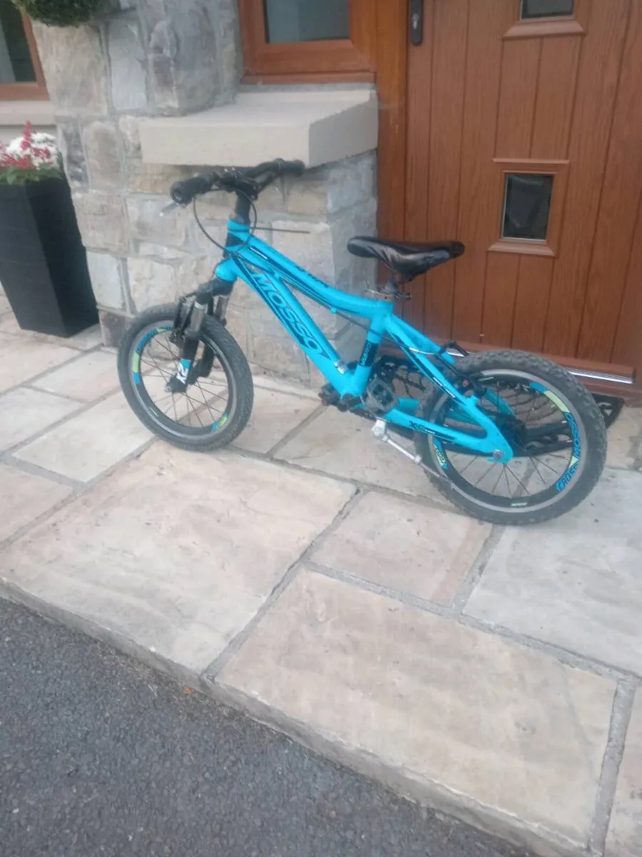 Kids Mini Mountain Bike - Image 4