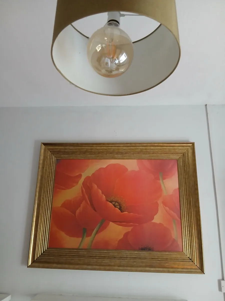Giant poppy print in amazing frame 58 inch x 44 in - Image 2
