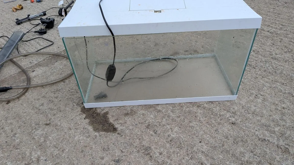Fish tank - Image 1