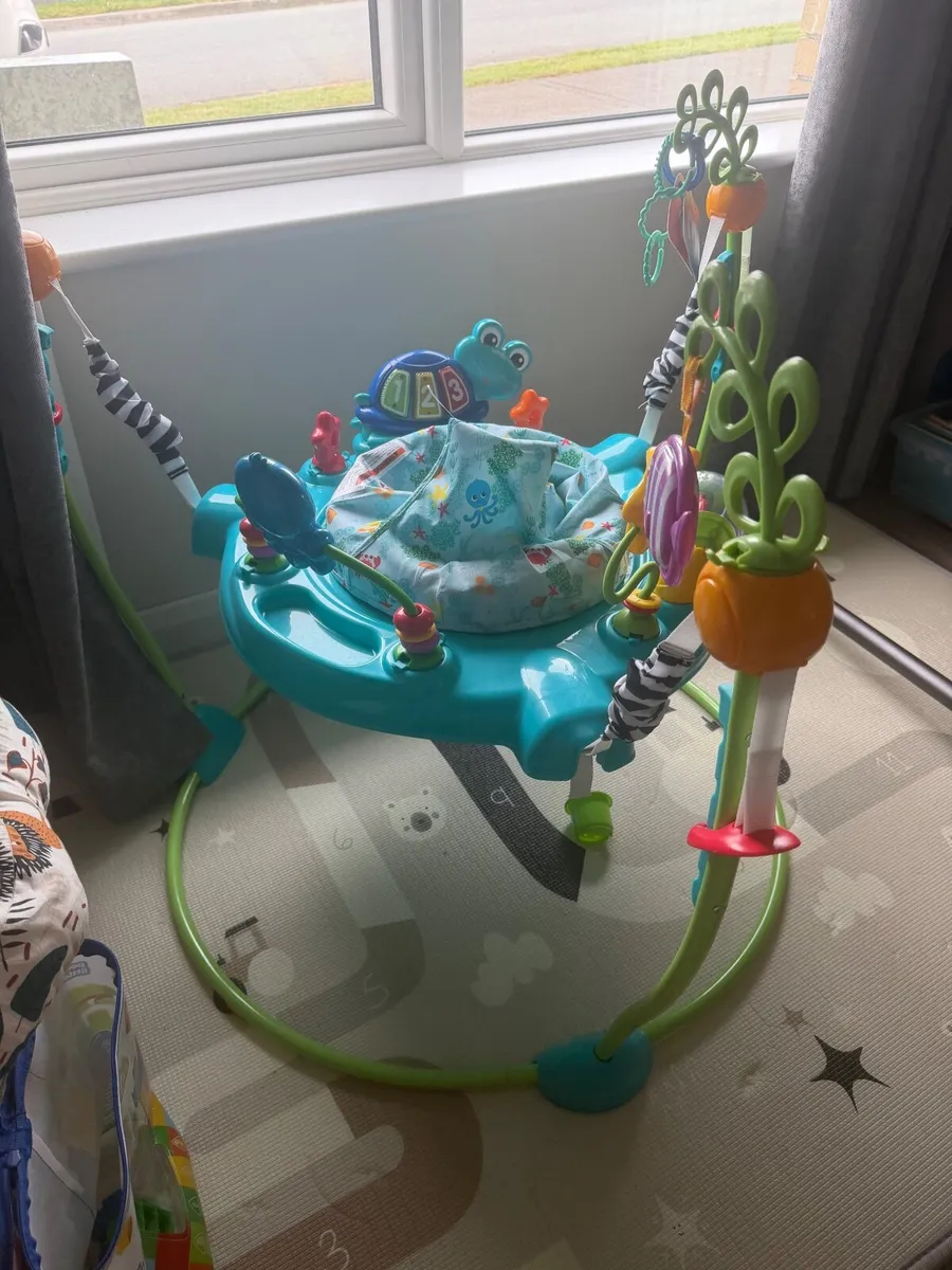 Baby bouncer