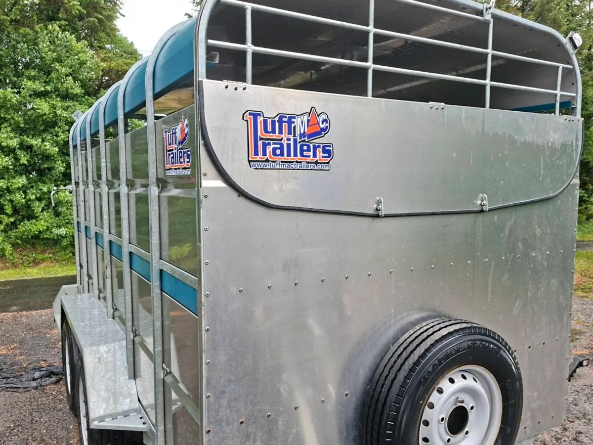 Cattle trailer - Image 3