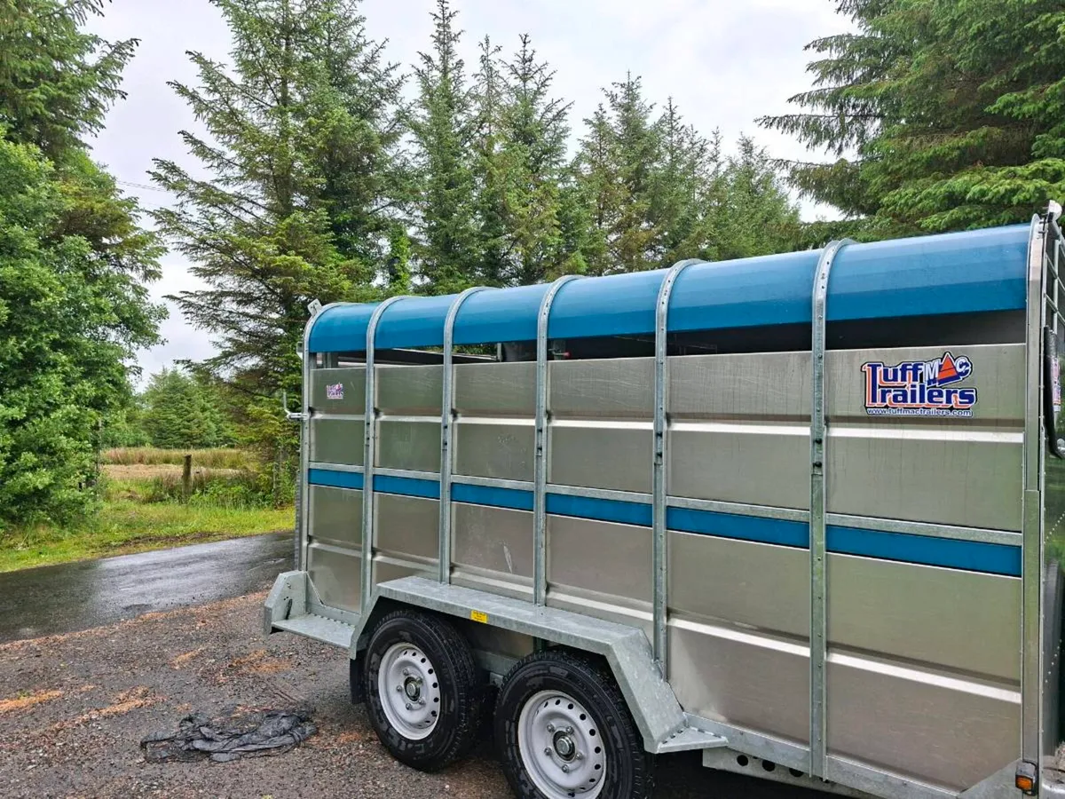 Cattle trailer - Image 2