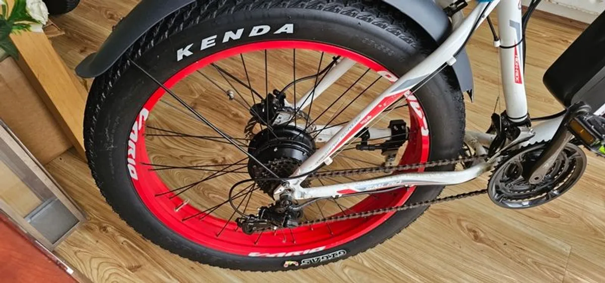 E-bike - Image 3