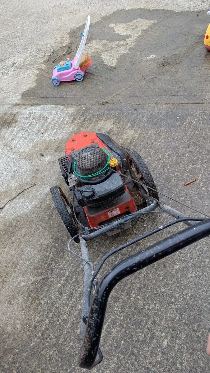 Walk behind strimmer - Image 1