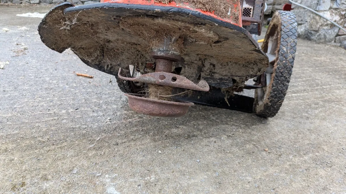 Walk behind strimmer - Image 3