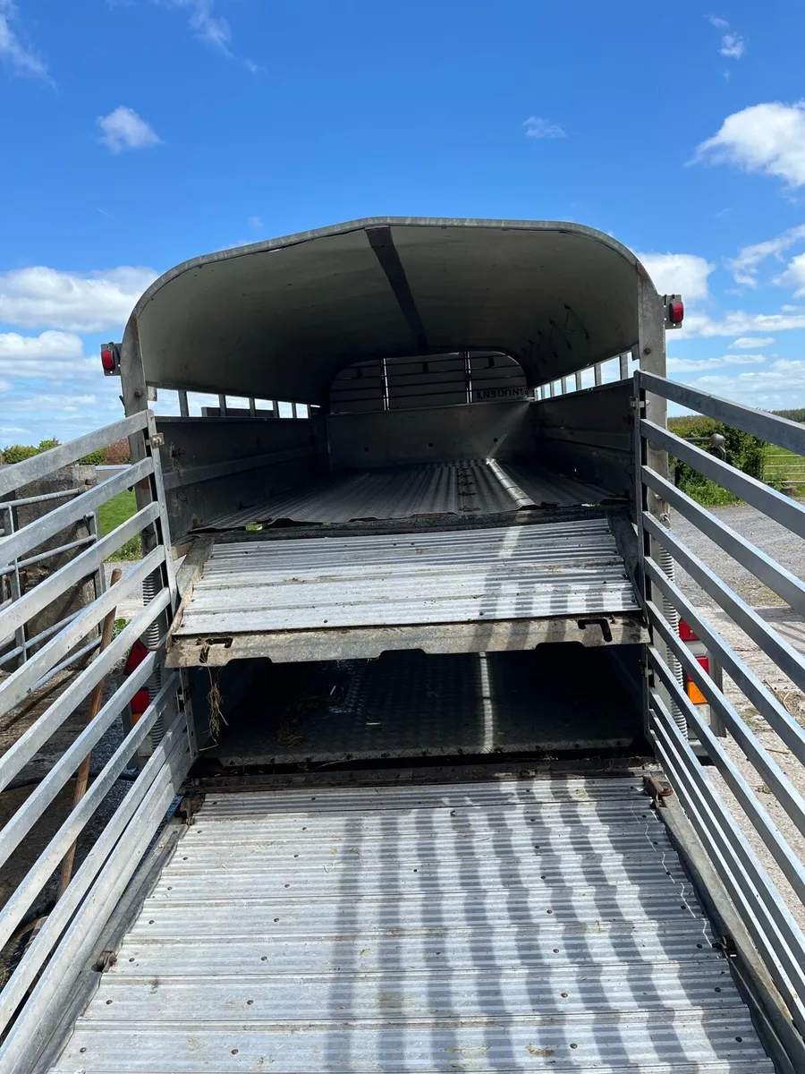 Sheep decks - Image 1