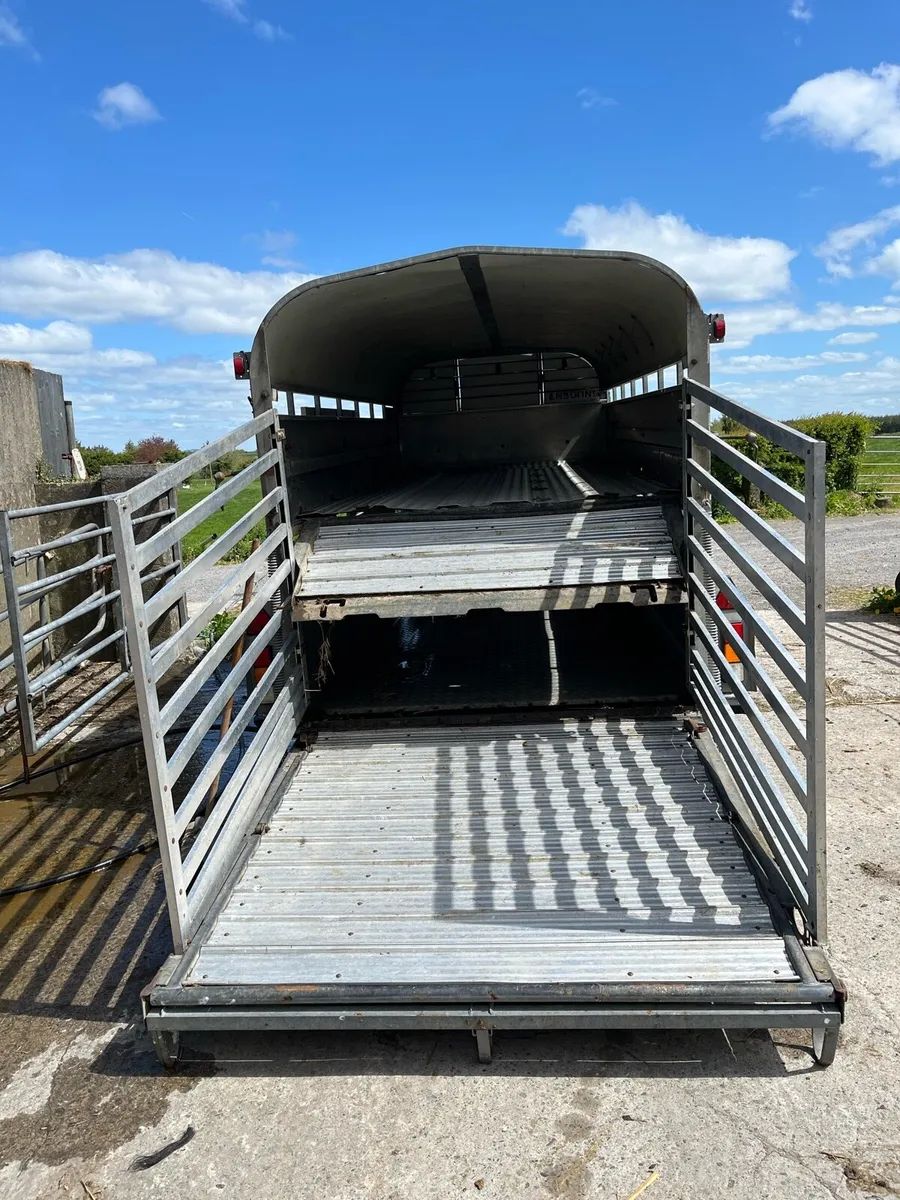 Sheep decks - Image 2