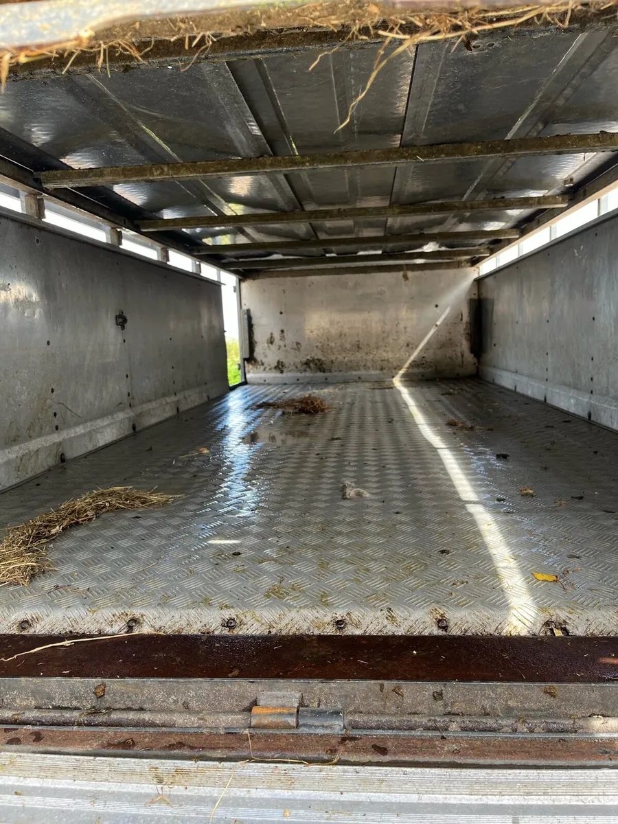 Sheep decks - Image 3