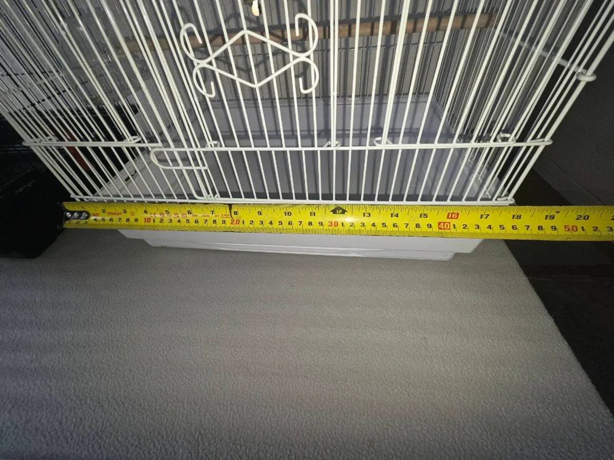 2 Bid Cages - Image 3