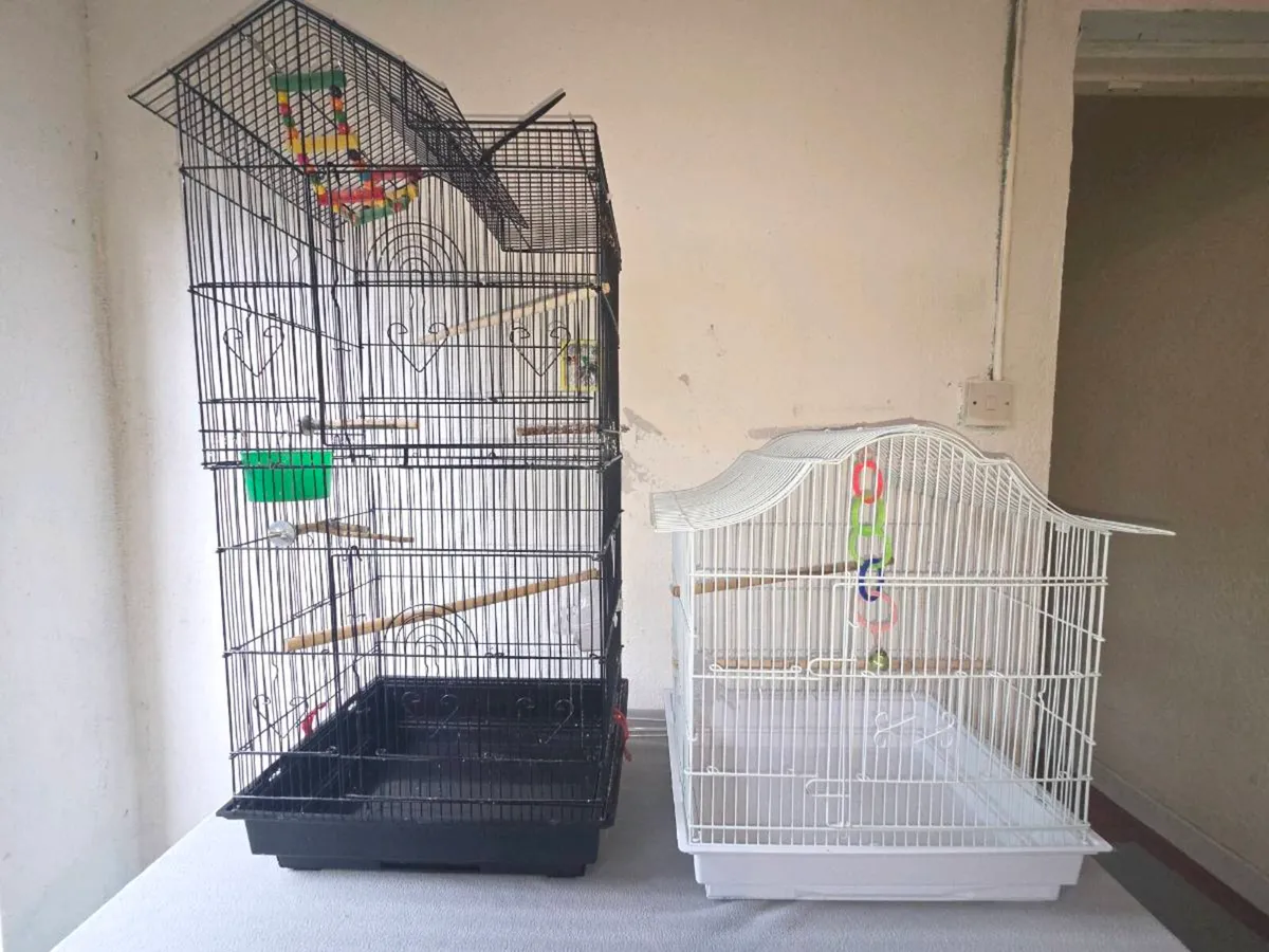 2 Bid Cages - Image 1