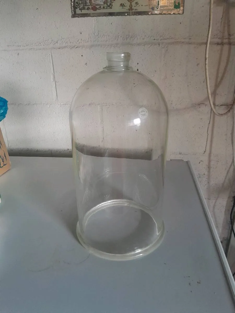 Glass bell jar - Image 2