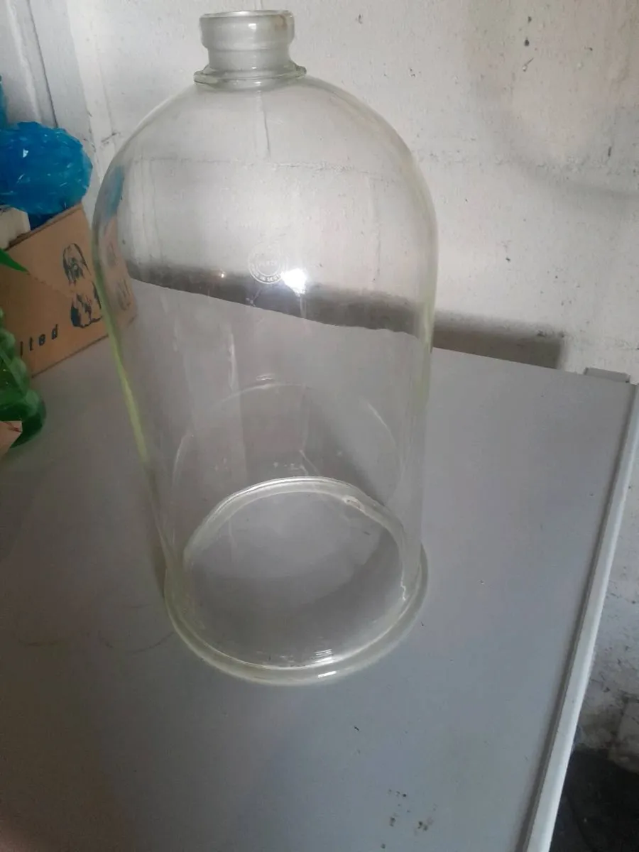 Glass bell jar - Image 3