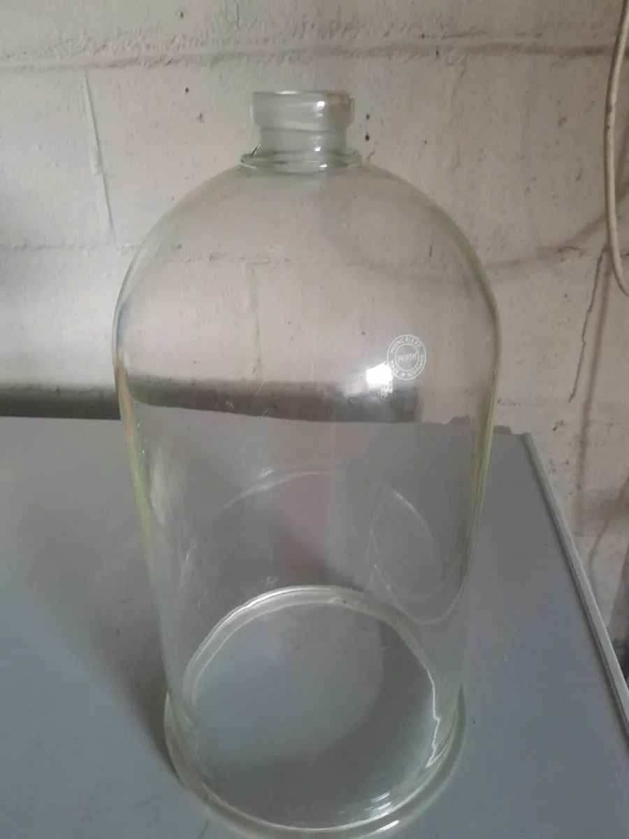 Glass bell jar - Image 1