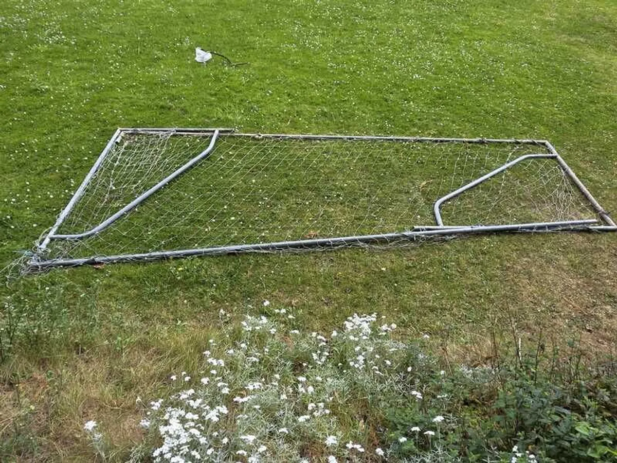 Goal Posts - Image 2
