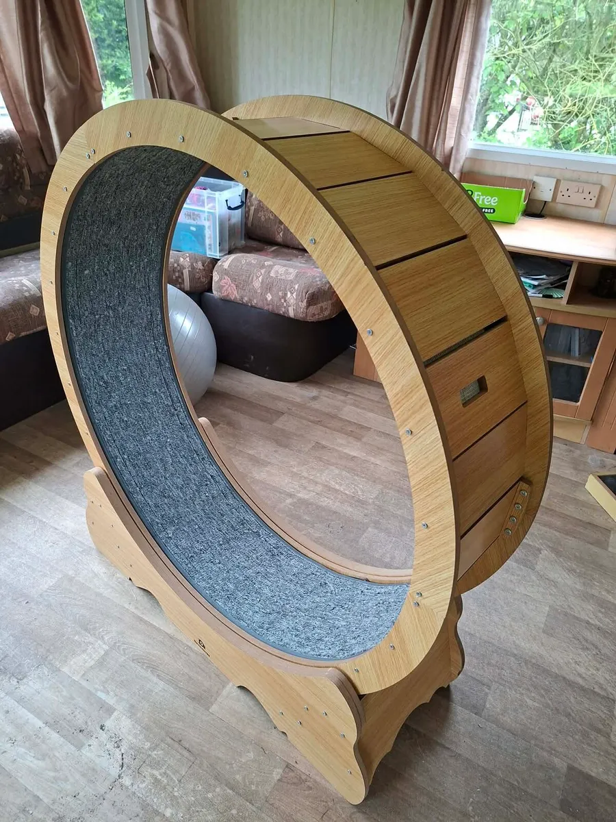 Cat walking wheel - Image 1